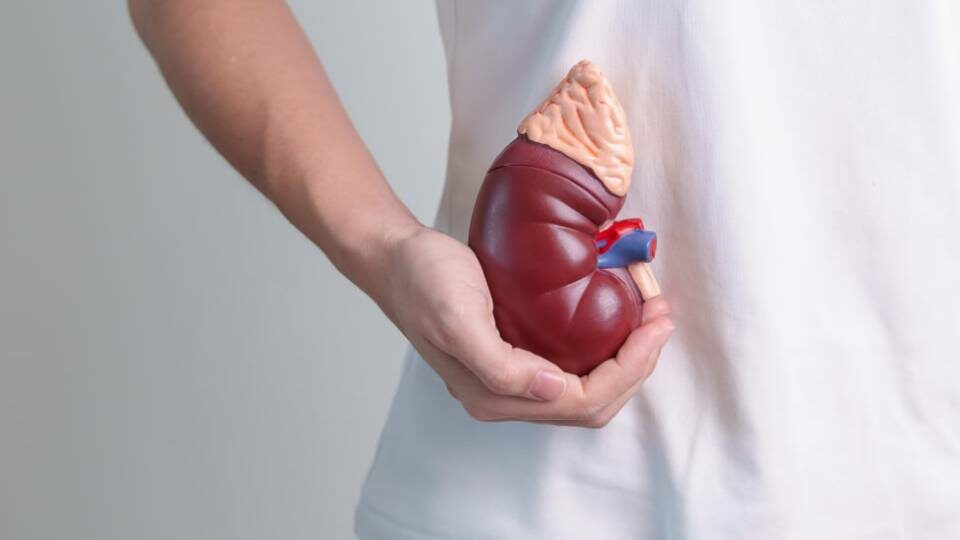 Источник https://www.kp.ru/doctor/bolezni/nadpochechniki-cheloveka/